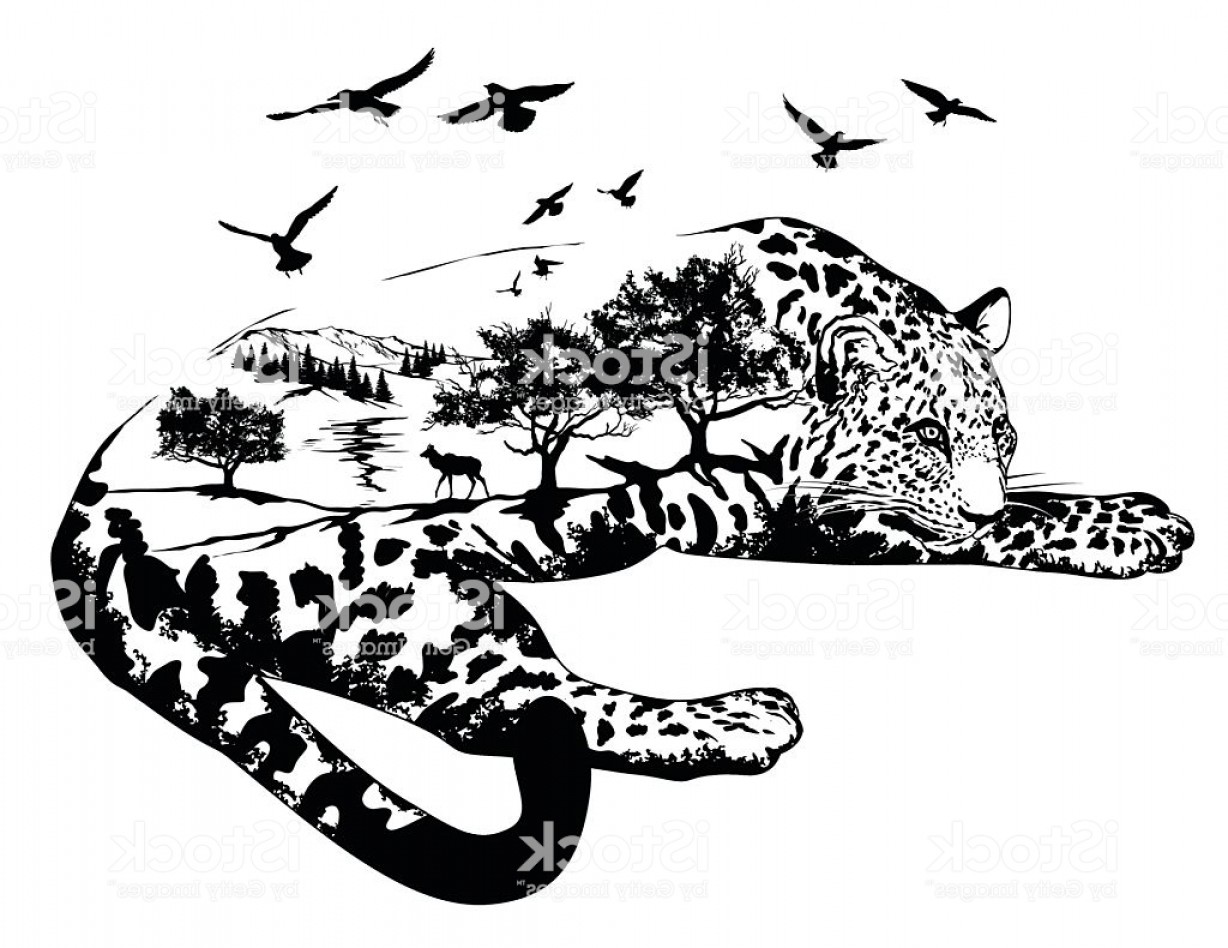 Vector Double Exposure Hand Drawn Jaguar Gm Soidergi 1228x948 Vector Double Exposure Hand Drawn Jaguar Gm Soidergi