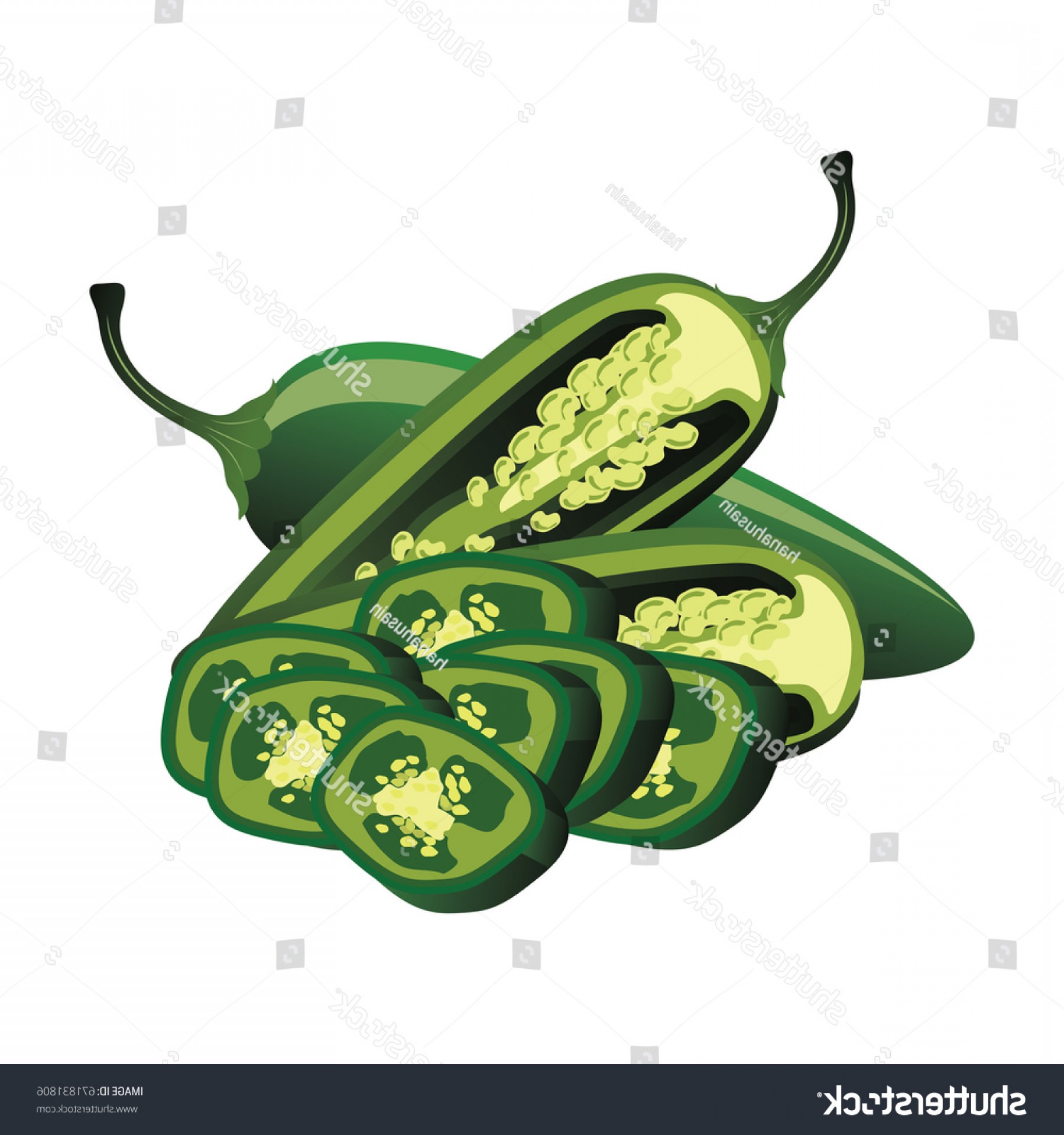 1800x1920 Jalapeno Vector Catchsplace