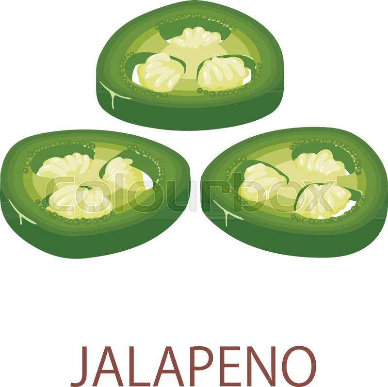 800x798 Jalapeno Icon Isometric Illustration Stock Vector Colourbox
