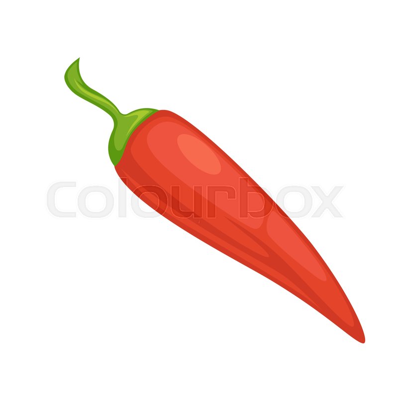 800x800 Red Chili Pepper Or Spicy Jalapeno Stock Vector Colourbox