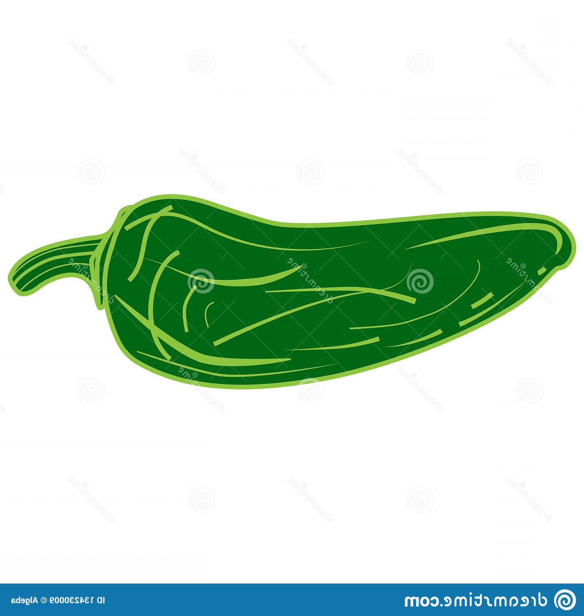 1920x2026 Decorative Green Jalapeno Pepper Vector Illustration Isolated
