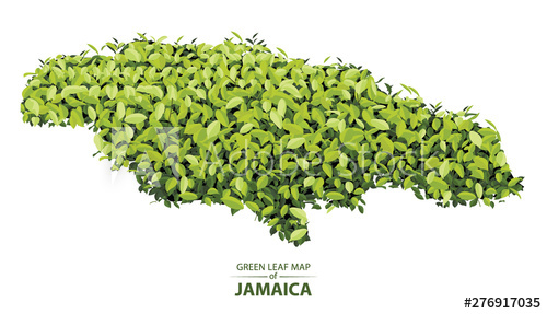 500x287 Green Leaf Map Of Jamaica Vector Illustration Of A Forest Is