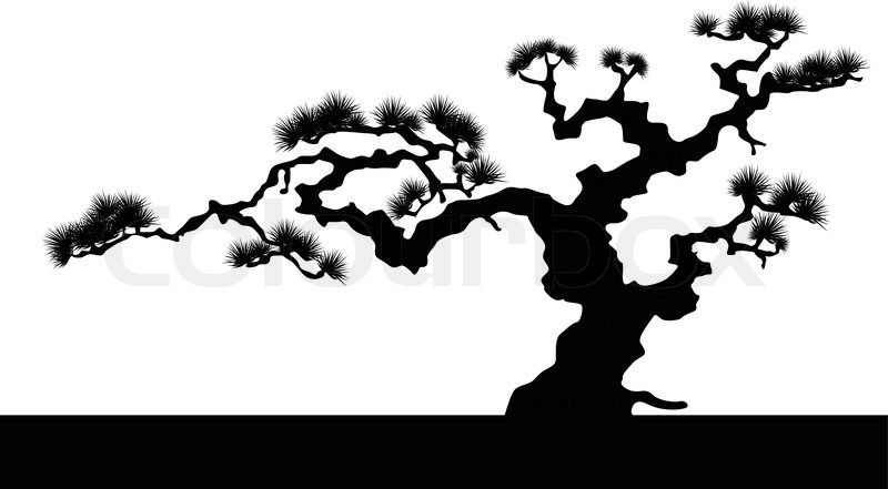 800x441 Plants Japanese Landscape, Landscape