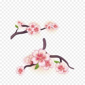 300x300 Cherry Blossom Flower Silhouette Set Vector Hoodamathrun