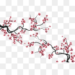 260x260 Cherry Blossom Png Hd Transparent Cherry Blossom Hd Images
