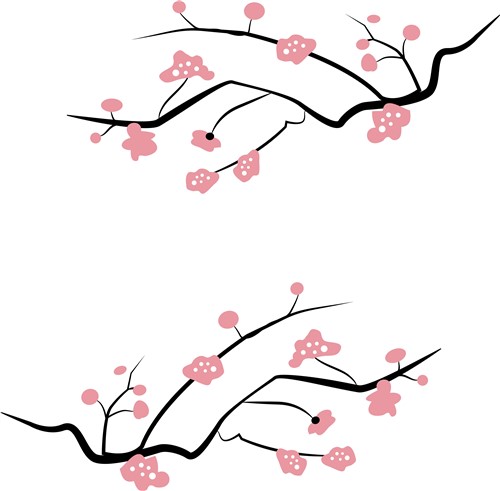 Japanese Cherry Blossom Vector at Vectorified.com | Collection of ...