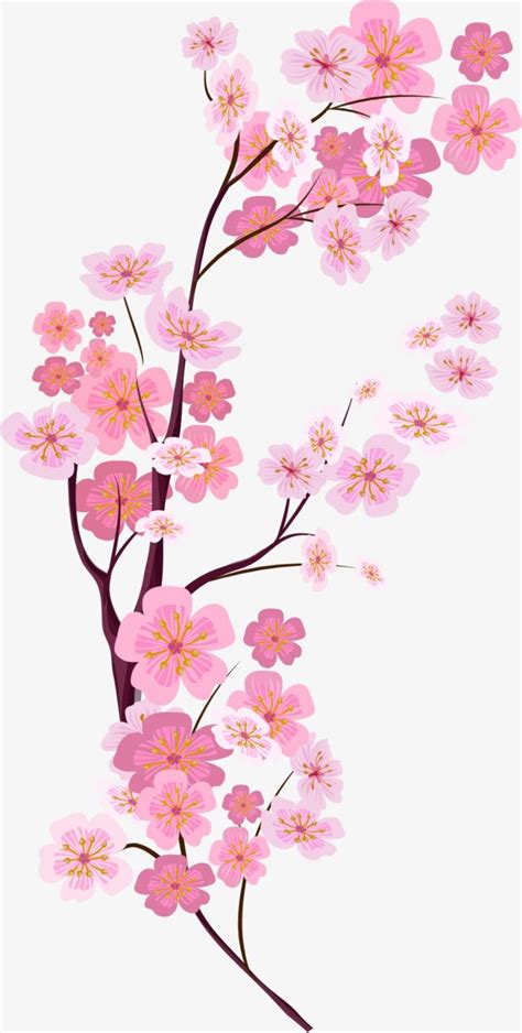 474x938 Pink Cherry Blossom Drawing