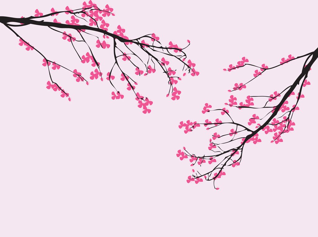 1024x765 Vector Cherry Blossom Vector Art Graphics