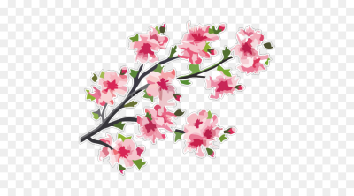 400x222 Blossom Png