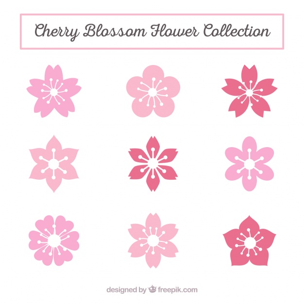 626x626 Blossom Vectors, Photos And Free Download