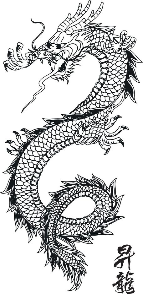 457x936 Japanese Dragon Vector Art Freevectors