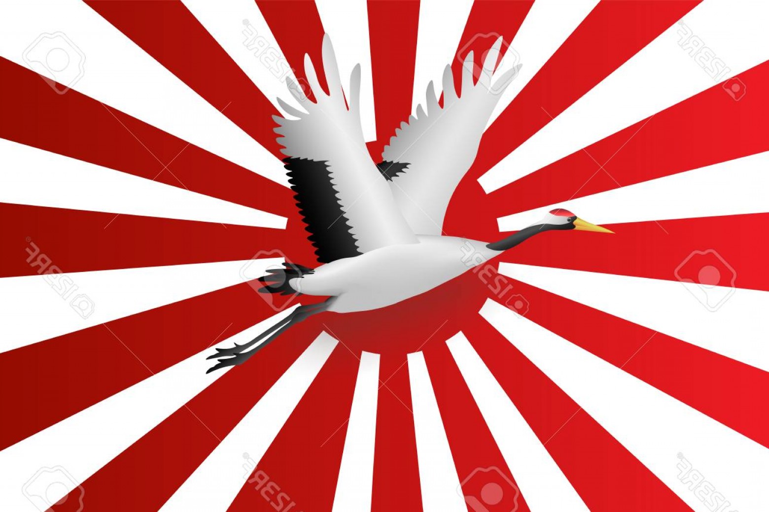 Photostock Vector Japanese Crane Flying Onjapanese Navy Flag Red 1560x1039 Photostock Vector Japanese Crane Flying Onjapanese Navy Flag Red