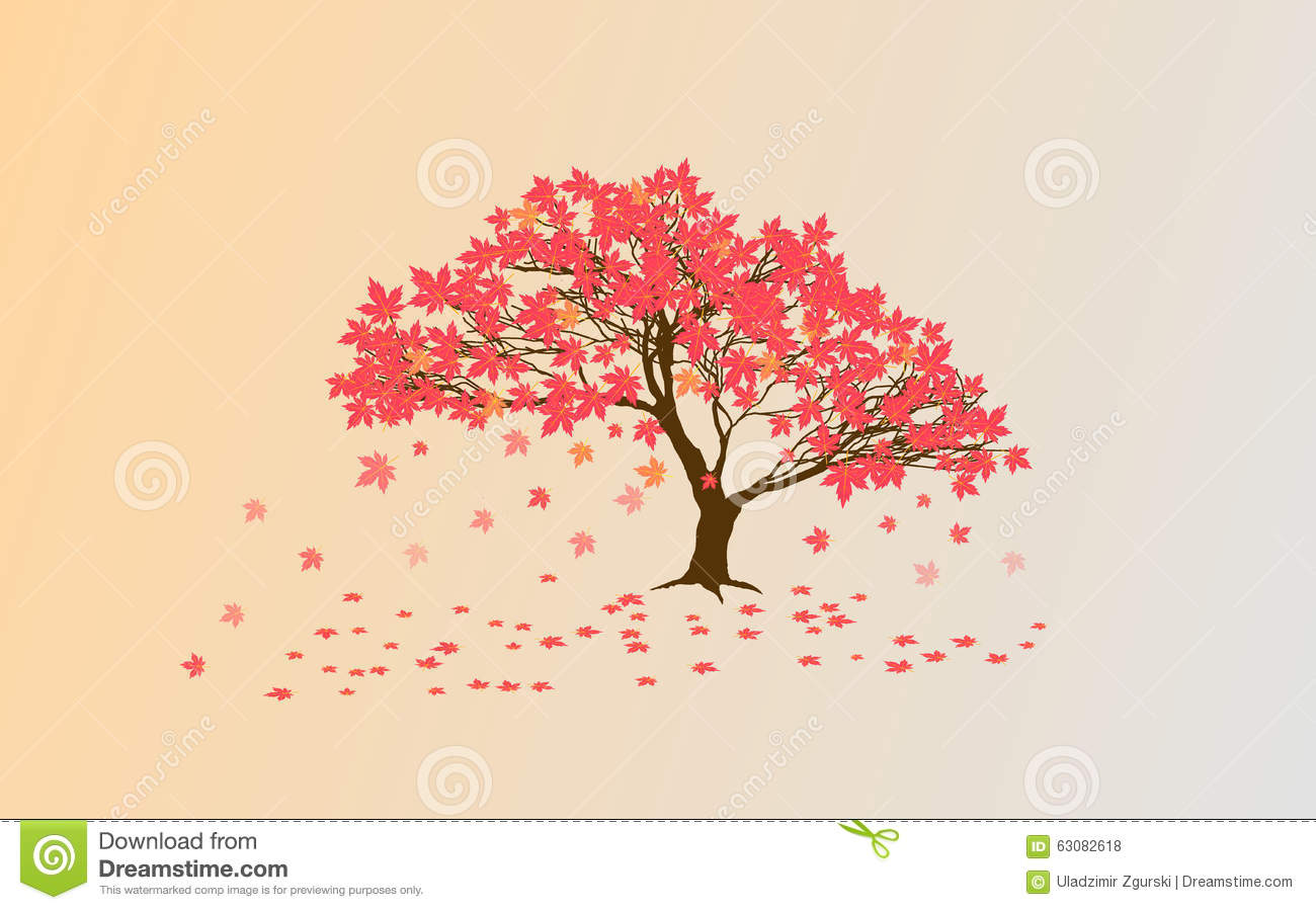 Huge Collection Of 'japanese Maple Tree Drawing' Download More 1300x899 Huge Collection Of 'japanese Maple Tree Drawing' Download More