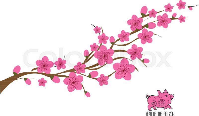 Japan Cherry Blossom Branching Tree Stock Vector Colourbox 800x466 Japan Cherry Blossom Branching Tree Stock Vector Colourbox