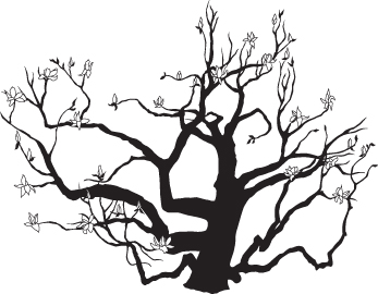 Japanese Magnolia Tree Vector Drawing What's Jenny Making 347x270 Japanese Magnolia Tree Vector Drawing What's Jenny Making