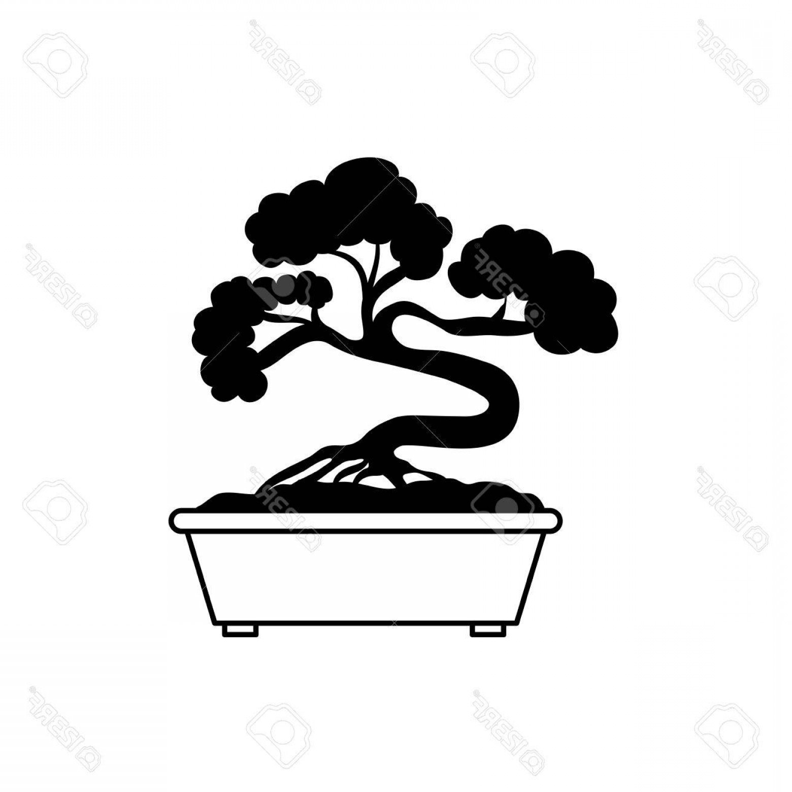 Photostock Vector Bonsai Japanese Tree Icon Vector Illustration 1560x1560 Photostock Vector Bonsai Japanese Tree Icon Vector Illustration