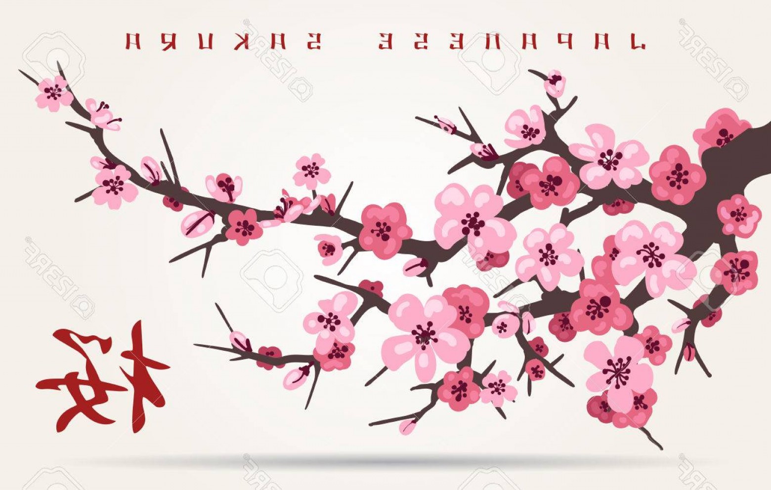 Photostock Vector Japan Cherry Blossom Branching Tree Vector 1560x992 Photostock Vector Japan Cherry Blossom Branching Tree Vector