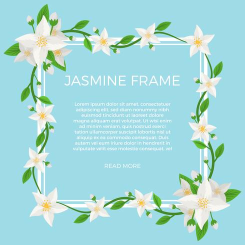 Jasmine Flower Vector