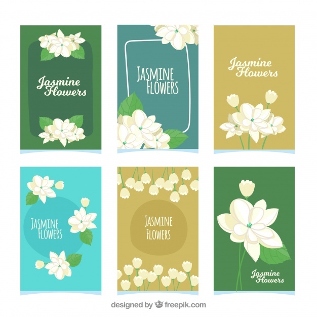 Jasmine Flowers Vectors, Photos And Free Download 626x626 Jasmine Flowers Vectors, Photos And Free Download