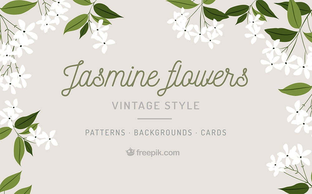 Jasmine Patterns, Backgrounds Cards For Access All 1000x622 Jasmine Patterns, Backgrounds Cards For Access All
