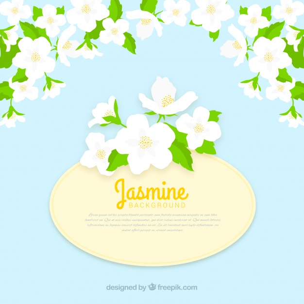 Flat Background With Jasmine Flowers Vector Free Download 626x626 Flat Background With Jasmine Flowers Vector Free Download