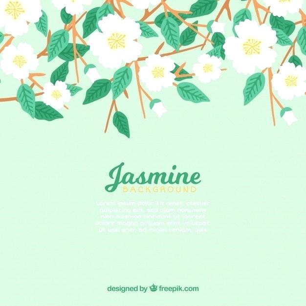 Free Illustrator Flowers Vector 626x626 Free Illustrator Flowers Vector