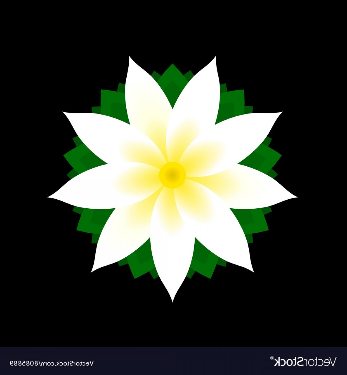 Jasmine Flower Icon On Black Background Vector Createmepink 1200x1296 Jasmine Flower Icon On Black Background Vector Createmepink