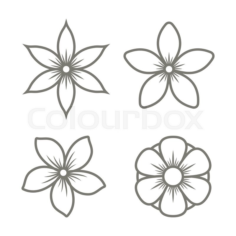 Jasmine Flower Icons Set On White Stock Vector Colourbox 800x800 Jasmine Flower Icons Set On White Stock Vector Colourbox