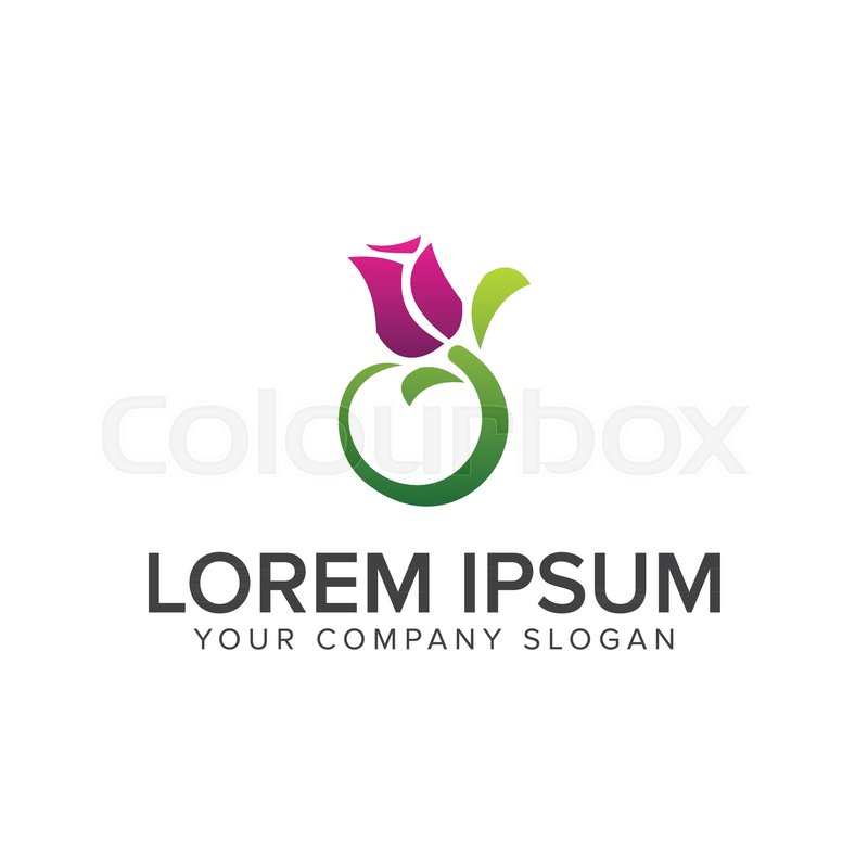 800x800 Jasmine Flower Logo Design Concept Stock Vector Colourbox