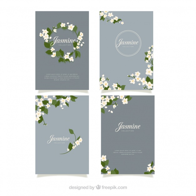 626x626 Modern Pack Of Elegnat Jasmine Cards Vector Free Download