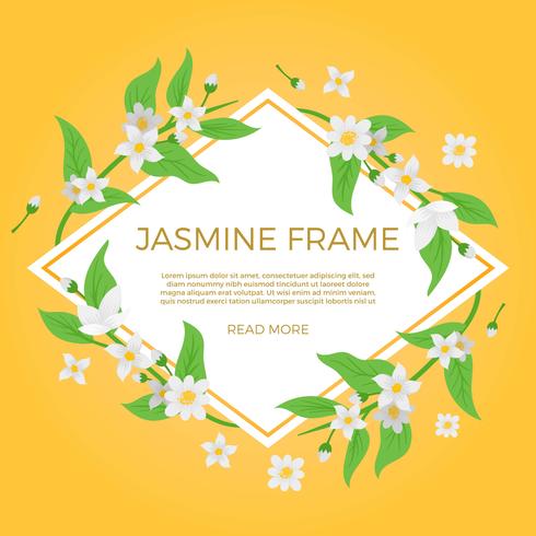 490x490 Flat Jasmine Flower Background Template Vector Stock Images