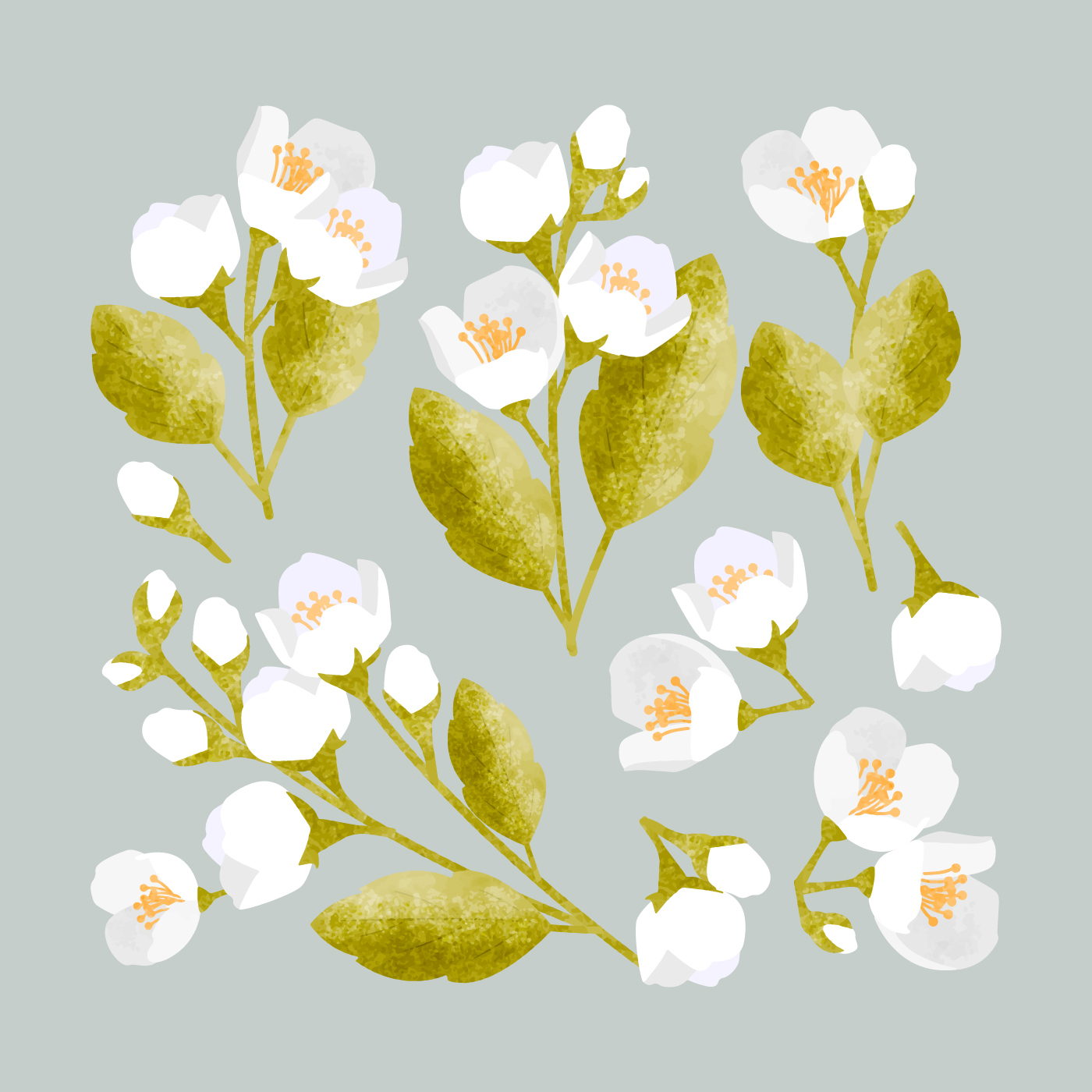 1400x1400 Jasmine Free Vector Art