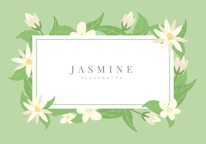 700x490 Jasmine Vector Background
