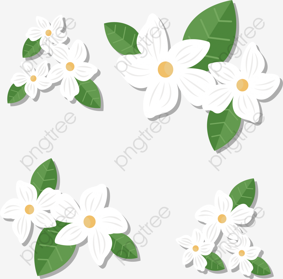 Jasmine Vector at Vectorified.com | Collection of Jasmine Vector free
