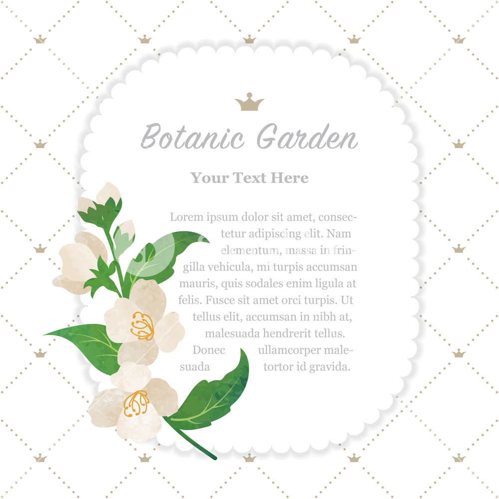 1000x1000 Colorful Watercolor Texture Vector Nature Botanic Garden Memo