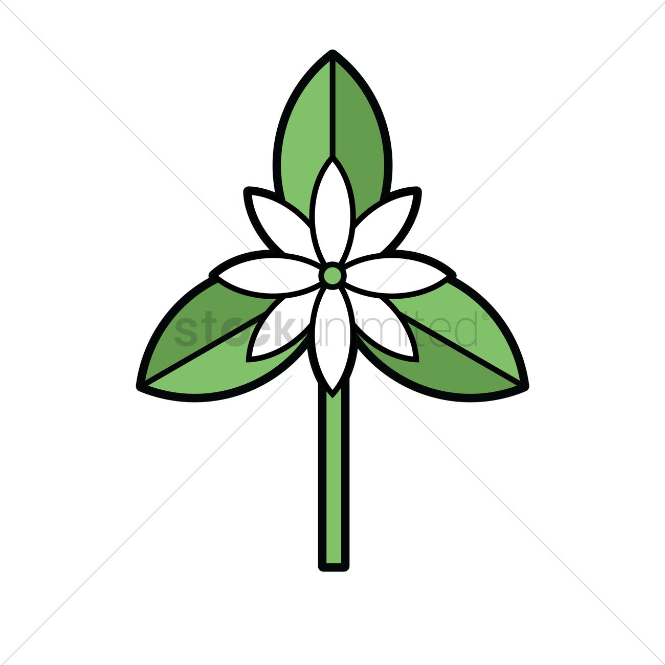 1300x1300 Free Jasmine Vector Image