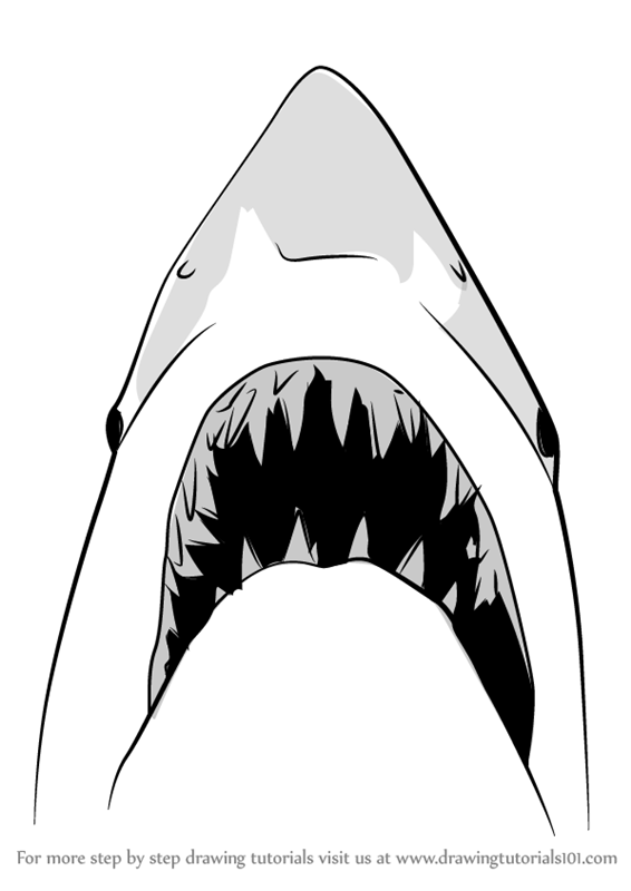 Learn How To Draw Jaws Shark 566x800 Learn How To Draw Jaws Shark