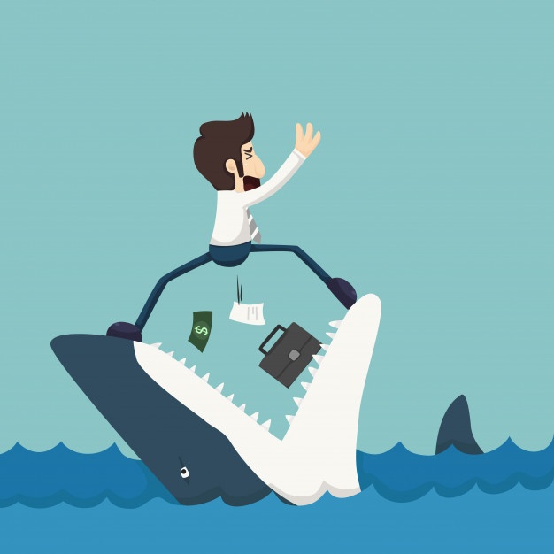 Jaws Shark Vectors, Photos And Free Download 626x626 Jaws Shark Vectors, Photos And Free Download