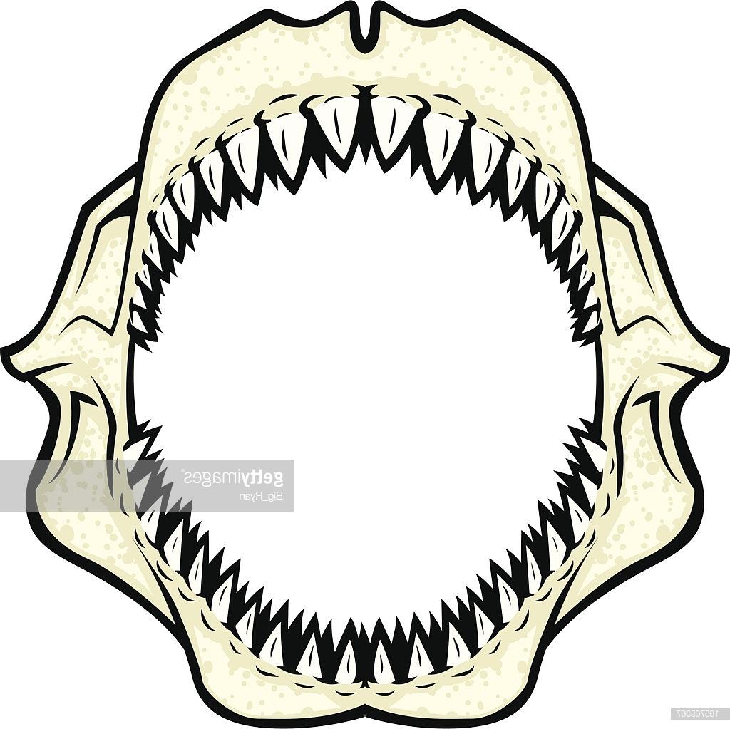Best Shark Jaws Clip Art Design Free Vector Art, Images 1024x1023 Best Shark Jaws Clip Art Design Free Vector Art, Images