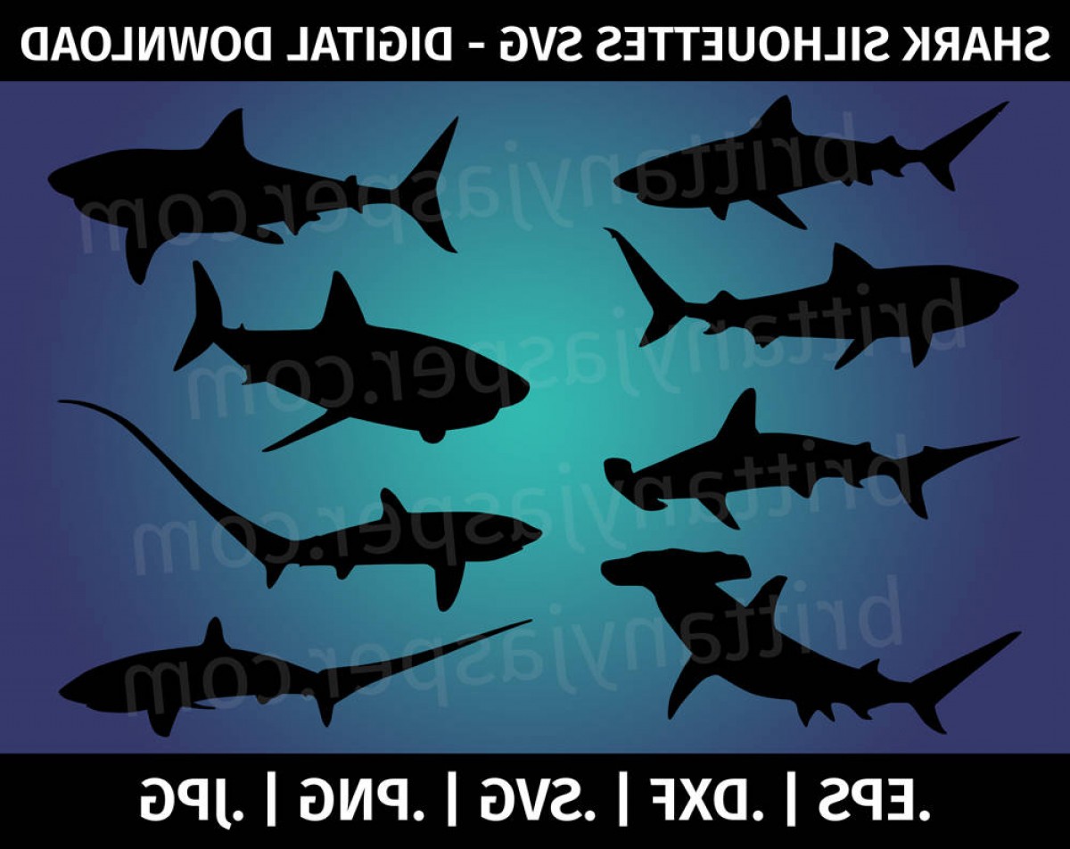 Shark Silhouettes Vector Clip Art Catchsplace 1200x952 Shark Silhouettes Vector Clip Art Catchsplace