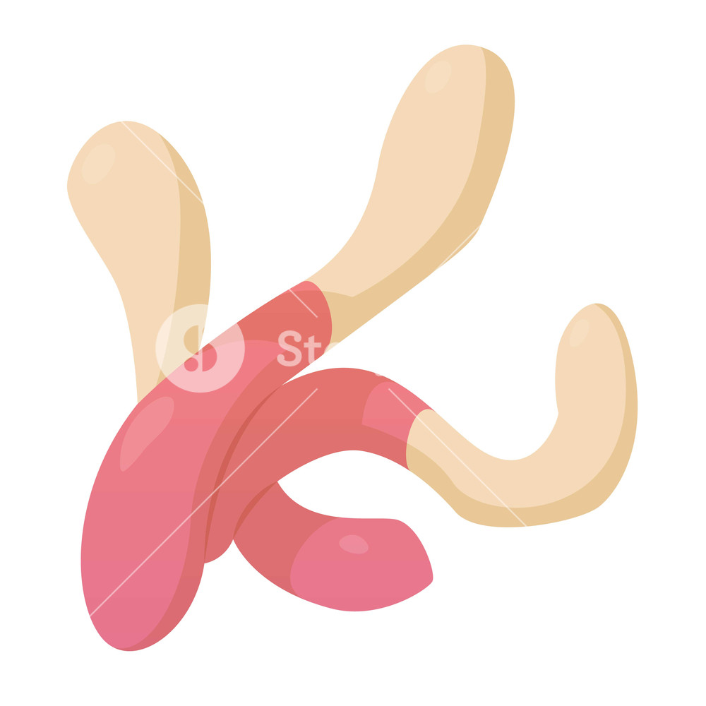 1000x1000 Fruit Jelly Icon Cartoon Illustration Of Fruit Jelly Vector Icon