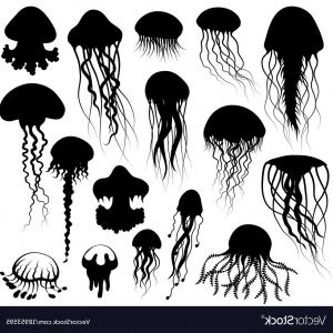Boozeworthy Vector Art Graphic Gallery 300x300 Boozeworthy Vector Art Graphic Gallery