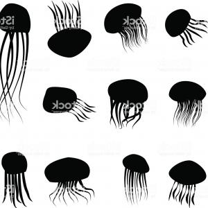 Jellyfish Silhouettes Set Sea Collection Vector Illustration Image 300x300 Jellyfish Silhouettes Set Sea Collection Vector Illustration Image