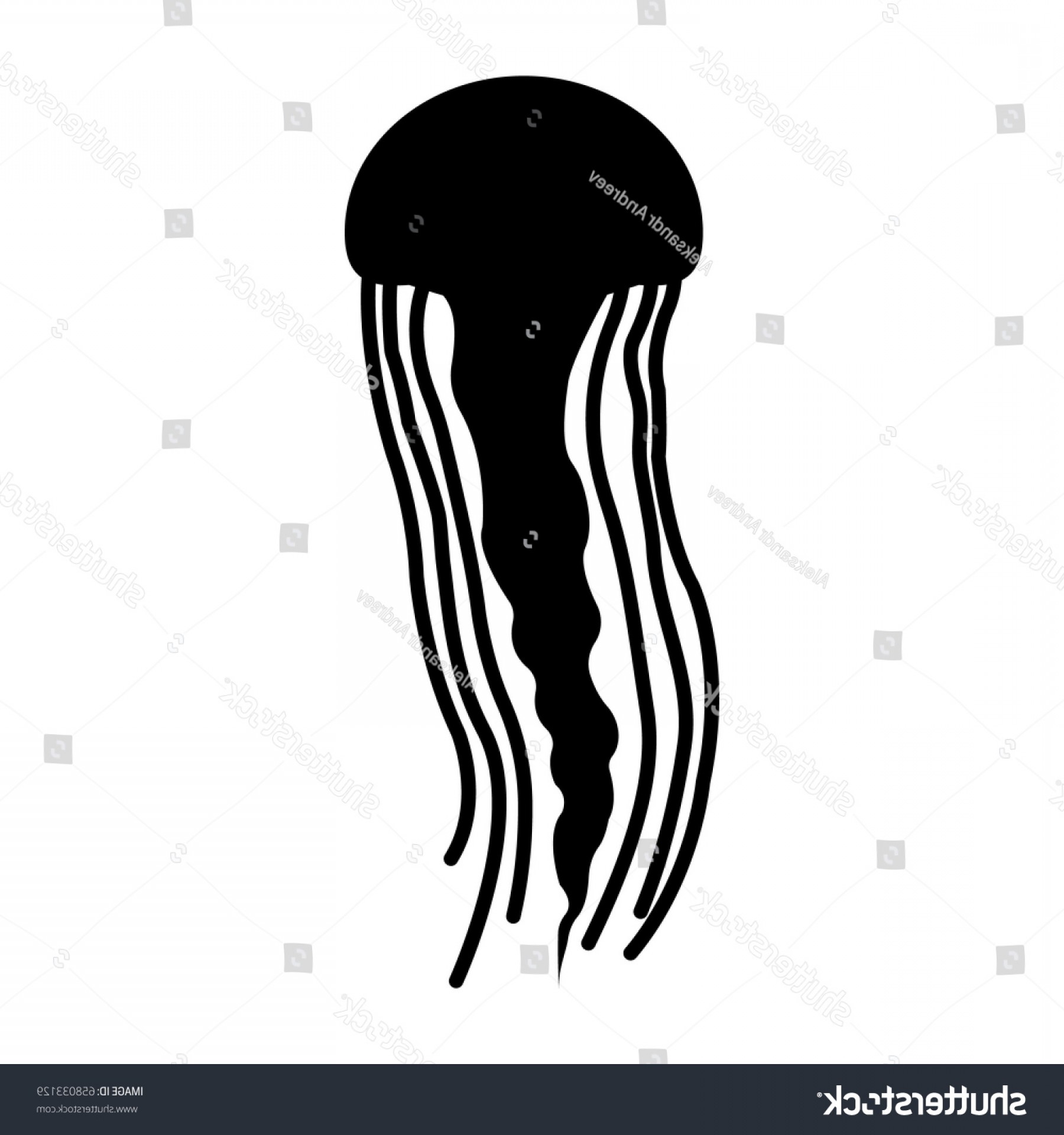 Jellyfish Sillhouette Vector Hoodamathrun 1800x1920 Jellyfish Sillhouette Vector Hoodamathrun
