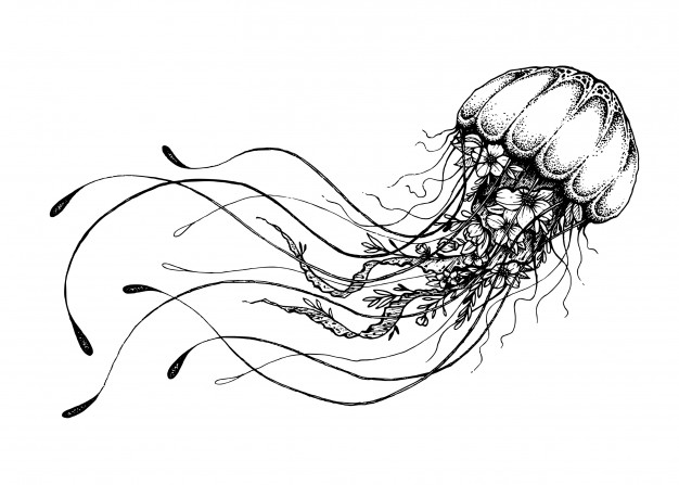 Jellyfish Vectors, Photos And Free Download 626x447 Jellyfish Vectors, Photos And Free Download