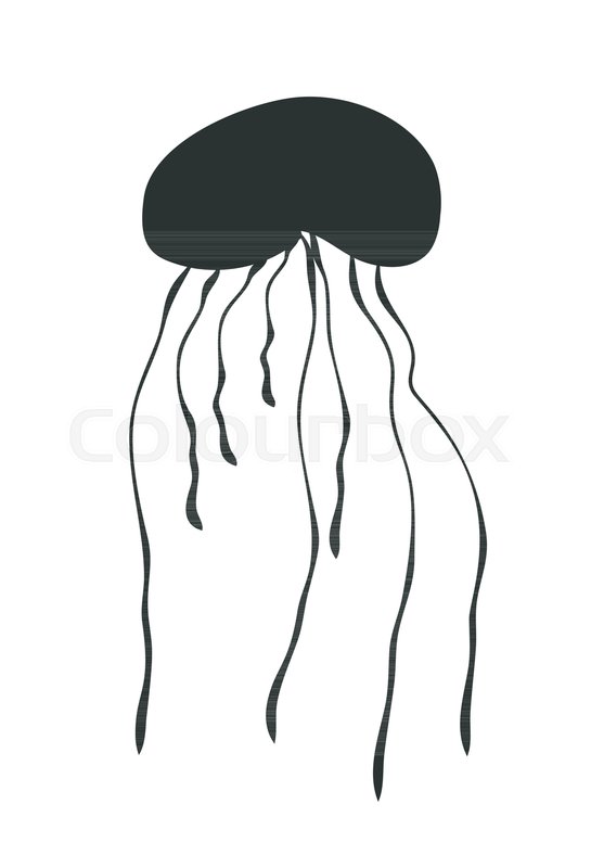 Jellyfish Silhouette Isolated On White Stock Vector Colourbox 545x800 Jellyfish Silhouette Isolated On White Stock Vector Colourbox