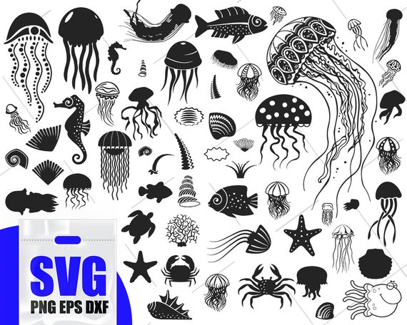Jellyfish Fish Sea Clipart Sealife Vector, Ocean 570x456 Jellyfish Fish Sea Clipart Sealife Vector, Ocean