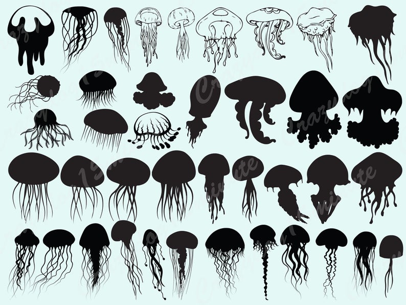 Jellyfish Fish Sea Clipart Sealife Vector Etsy 794x596 Jellyfish Fish Sea Clipart Sealife Vector Etsy