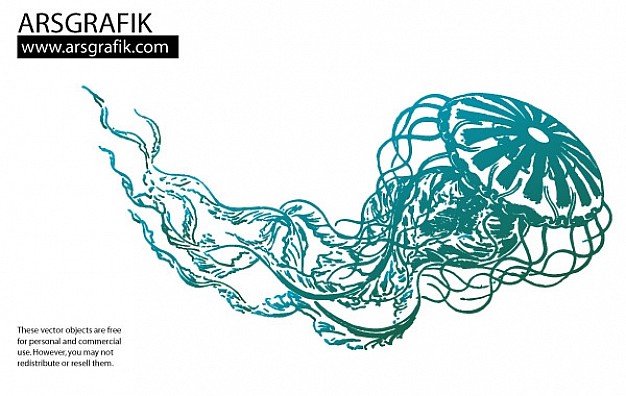 Jellyfish Vector Vector Free Download 626x396 Jellyfish Vector Vector Free Download