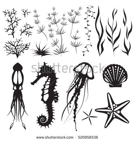 Sea Life And Underwater Sea Bottom Elements, Animals Jellyfish 450x470 Sea Life And Underwater Sea Bottom Elements, Animals Jellyfish